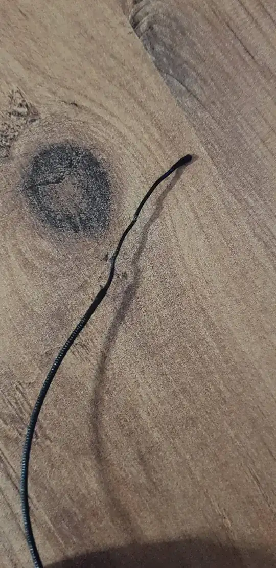 Image of the tip of the filament Image of the tip of the filament