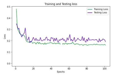 Training and Testing Loss