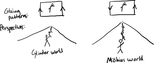 Gluing patterns and perspective views in cylinder world and Mobius world