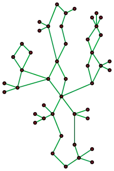 A CACTUS FROM GRAPH THEORY