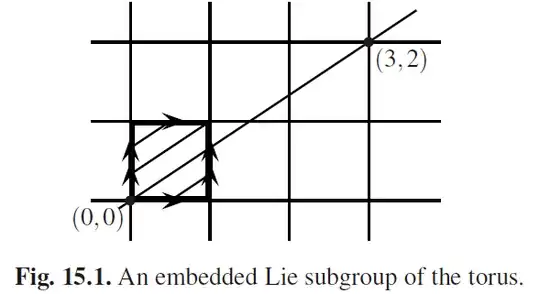 Fig. 15.1. An embedded Lie subgroup of the torus.