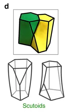 Scutoid