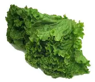 lettuce leaves (from fudsubs.com)