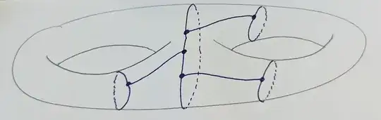 A genus 2 surface with an immersed graph