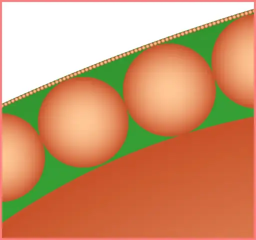 Inscribed circles (16x)