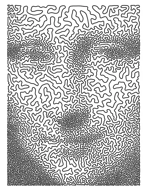 mona lisa as TSP art