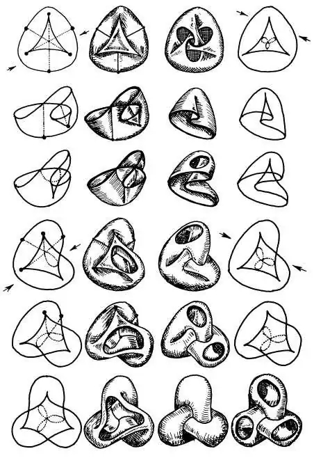 From Steiner's Roman surface to Boy's surface.