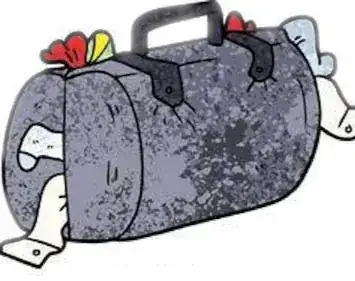 PICTURE OF A SUITCASE