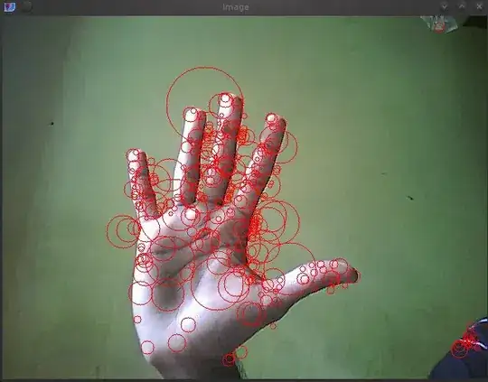 SURF feature overlaid