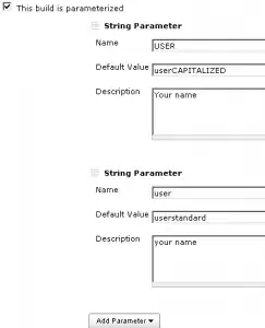 What it looks like inside the native interface