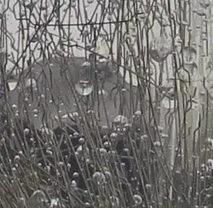 screenshot of internal server error