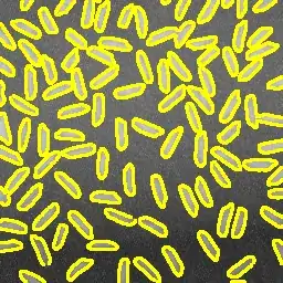 Application directory structure