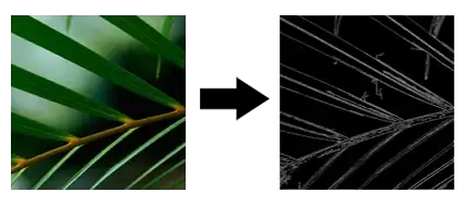 where you should input the VM paramer