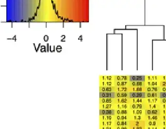 dyld: Library not loaded: @rpath/libswiftCore.dylib