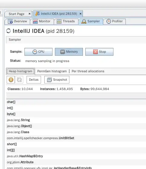 The output screenshot