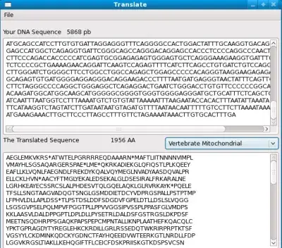 Warnings show up for a second or two while build is running