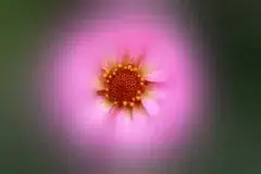 Waveform above spectrogram plus colorbar on right side (of spectrogram only)