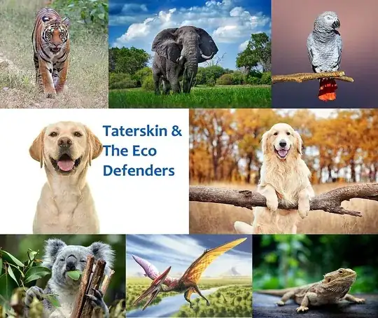 here is a image of the above layout