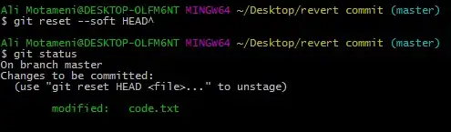 Python version of terminal