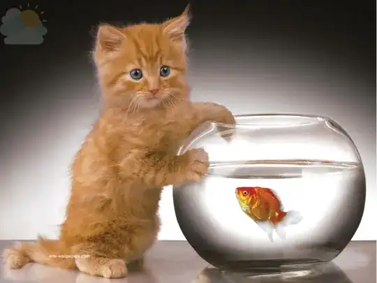 transparent overlay combined.png