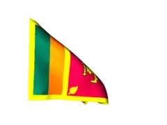 above snippet picture