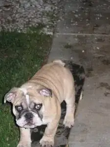 Instrument Screen Shot