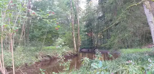 s=\frac{t-t_0}{t_1-t_0}