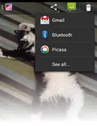 on mobile it should be like this too