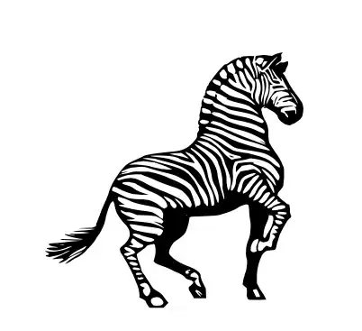 screenshot of terminal