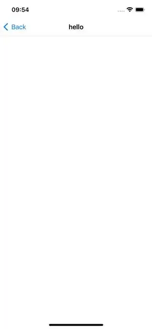 iOS Simulator iPhone 13 Pro