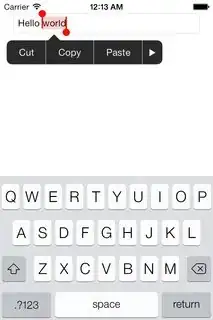 Text selection screenshot