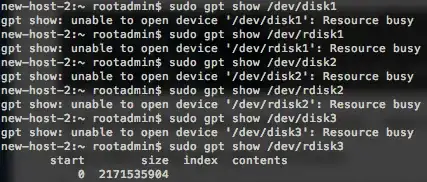 sudo gpt /dev/(r)disk(1-3). /dev/rdisk3 gives a result