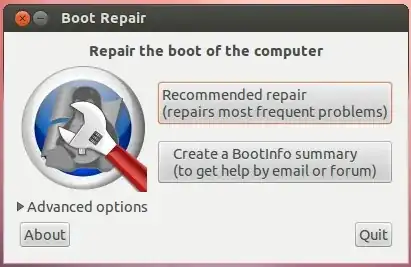Repair Boot