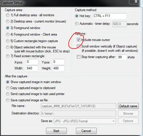 Screen from IrfanView showing mouse pointer capture